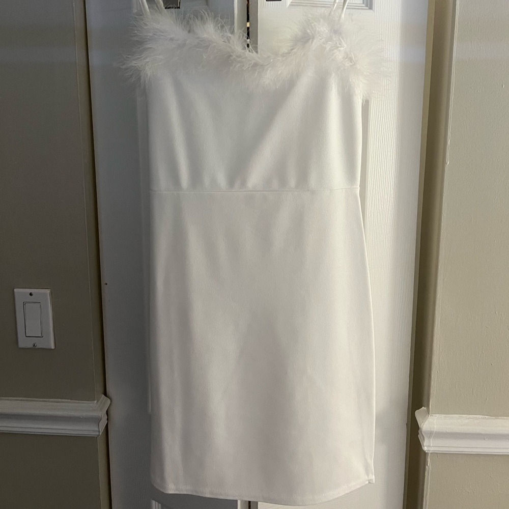 Nasty Gal Feather a Dull Moment Dress
